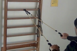 extensor em espaldar extensor em espaldar