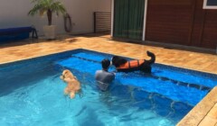 plataformas de piscina Actual conectadas formando praia de dois níveis plataformas de piscina Actual conectadas formando praia de dois níveis