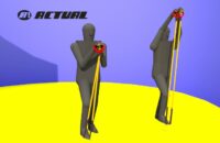 extensão paralela membros superiores com reflexo no peitoral extensão paralela membros superiores com reflexo no peitoral